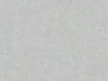 daphnexreggie