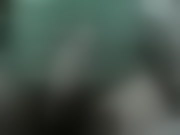 davicinh00