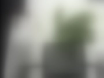 deivy_hard_bigcock