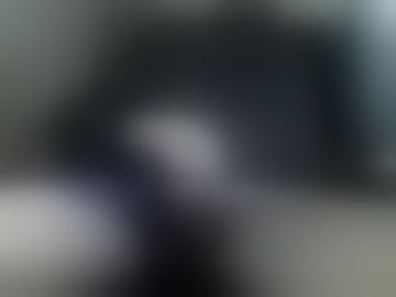 demonion2023