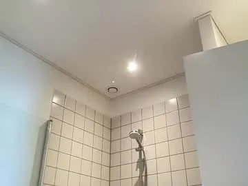 denmarks