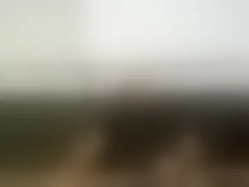 dfwhungdaddy