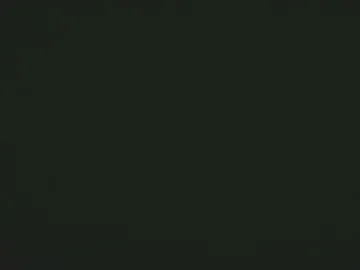 dickinner_xl