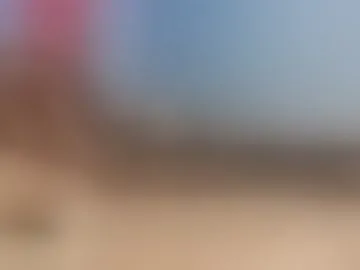 dickrater24