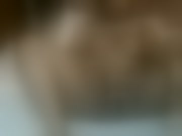 didi_spice