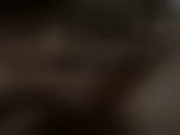 diditagain13