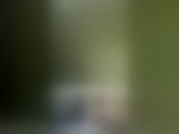 diegoduranwsr