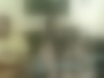 djandkaitybyrd