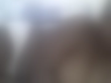 dora_001