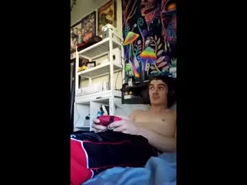 dpunk213