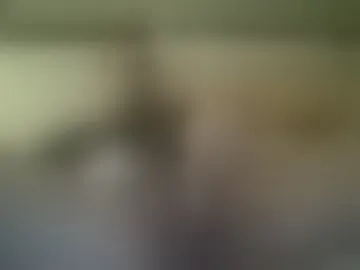 dustines