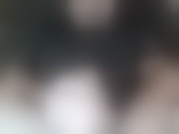 dylrod270