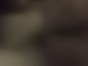 dyregj