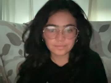 elaeniayvanellus10