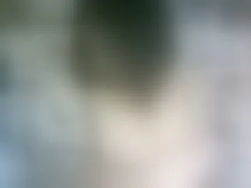 elenah0123