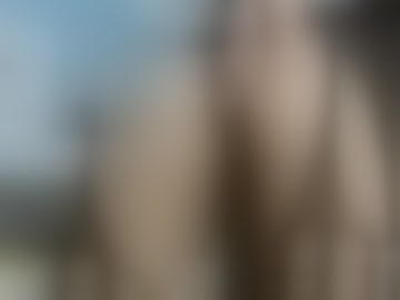 eli_taylor