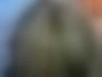 ellibubble