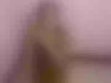 exotic_catty
