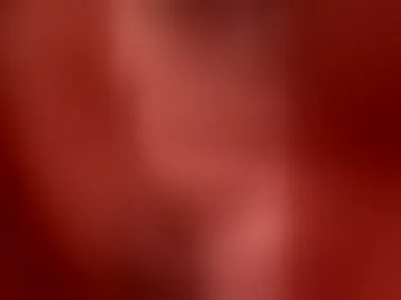 facky88