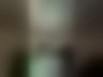 fapitweiz