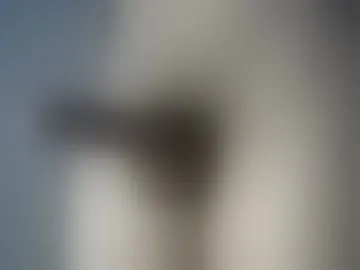 femb4u