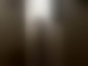flacosexi4