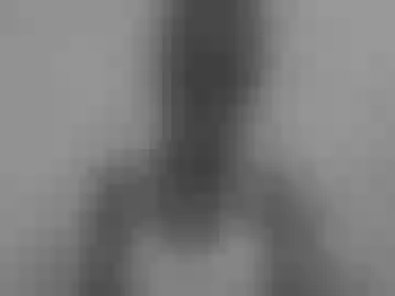 flora48230522373