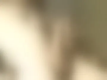 fluffhead_