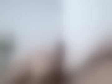 foggy8888