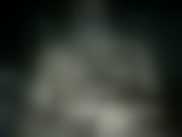 franwylde85