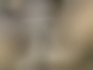freaking_bitch