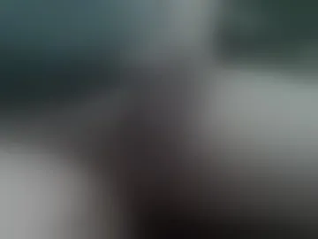 frvibes
