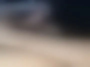 funkipper6