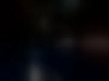 funnysani