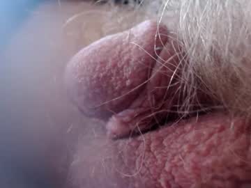 fuzzzman