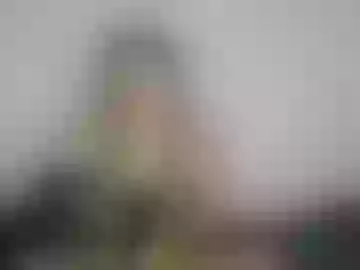 gabriela_bellevelvet