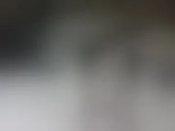 geestack