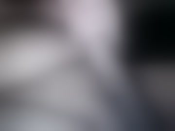 gogo8223314