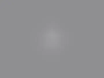 h95208486