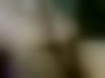 hlavoe33