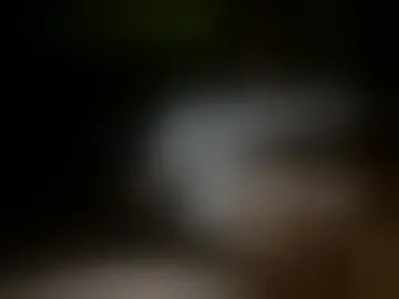 hornyoldman2558