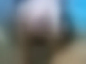 hornyptaboy2