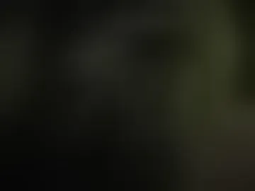 hotsuckubus