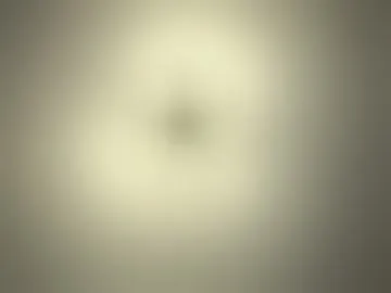 hugecondor3