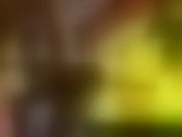 hype17