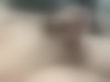 jannison_2
