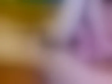 jerryskunk
