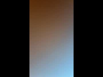 jimmyhony69