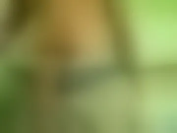 jonasconor