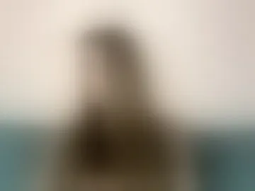 juttameadville